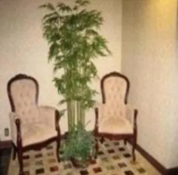 **  The Chariot Hotel Louisville United States